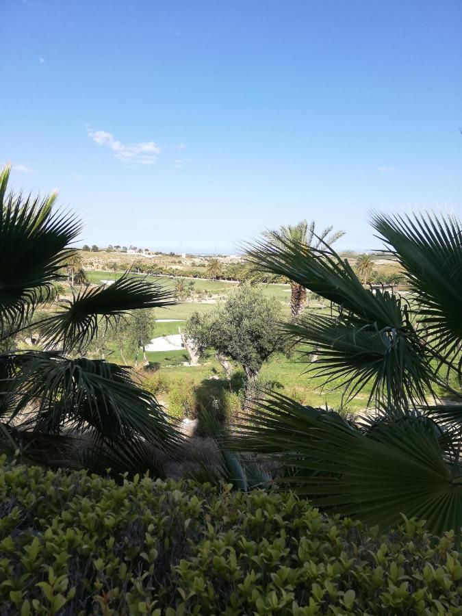 Bajo Con Jardin Propio En Valle Del Este Golf!! 维拉 外观 照片